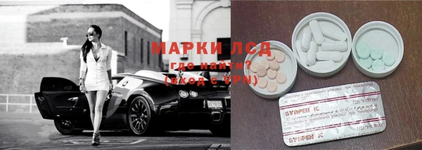 стафф Коряжма