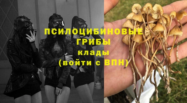 индика Куйбышев