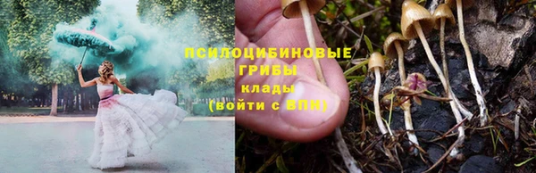 mdma Краснослободск