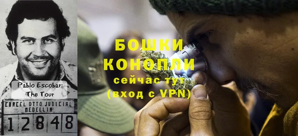стафф Коряжма